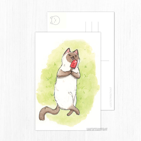Popsicle Cat Postcard - loststreetkat