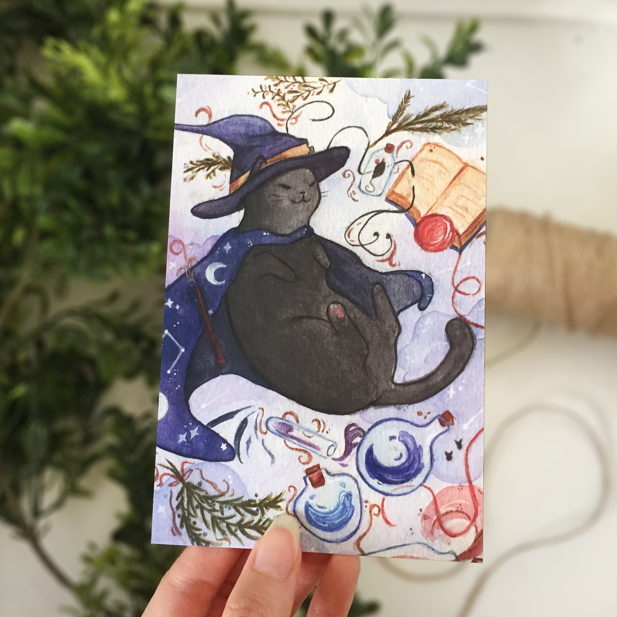 Sorcerer Cat Postcard - loststreetkat